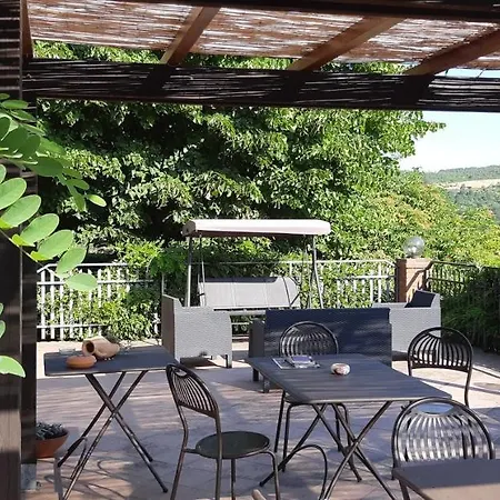 Semidimela * 古比奥