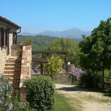 Фермерский дом Farm Agriturismo Semidimela *