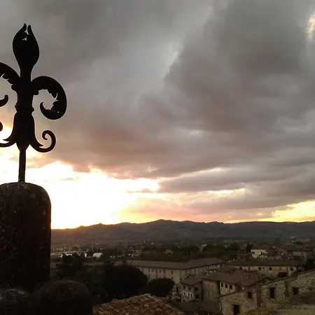 农家乐 Semidimela *